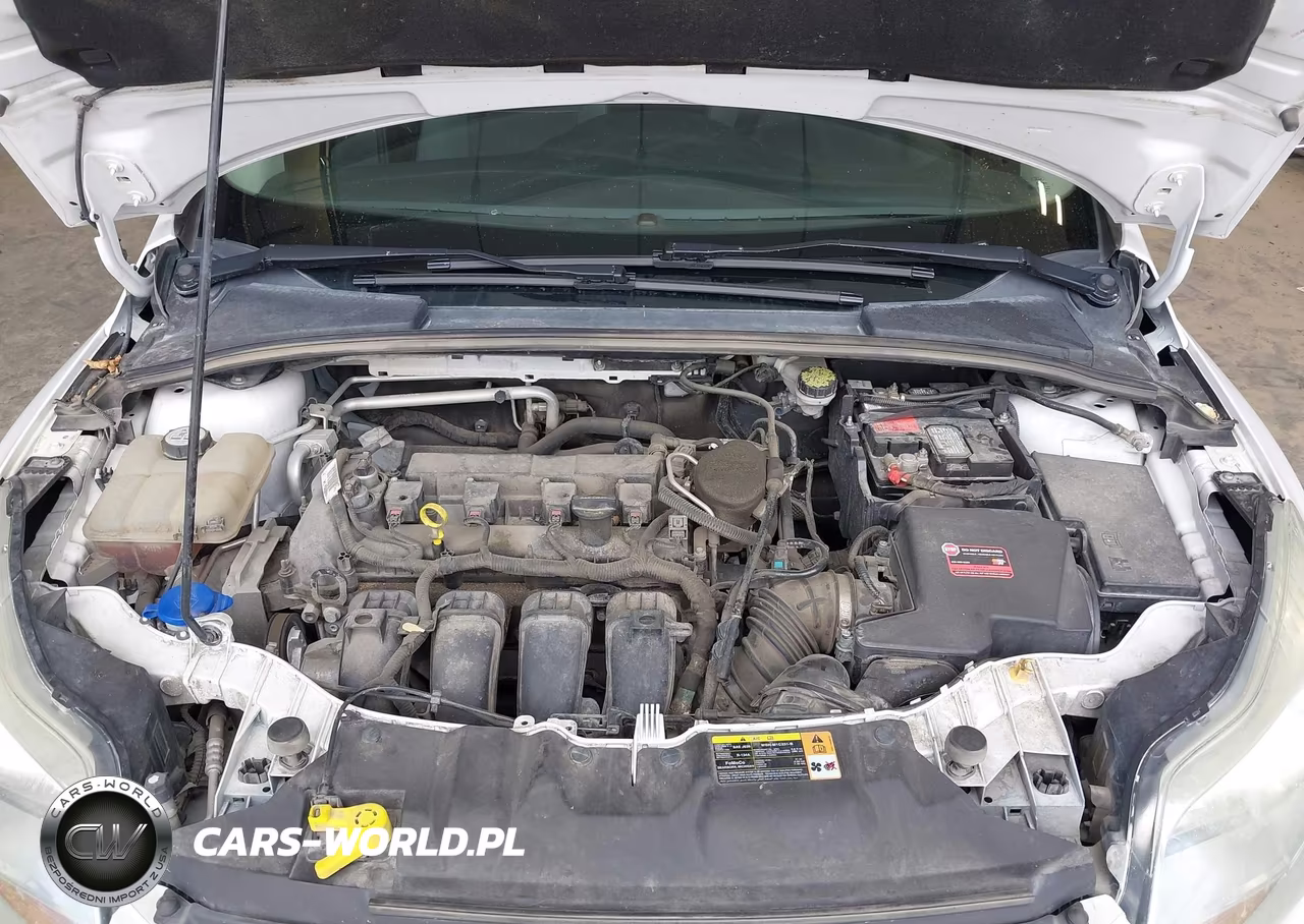 2013 Ford Focus Se VIN:1FADP3F28DL221394 - 10