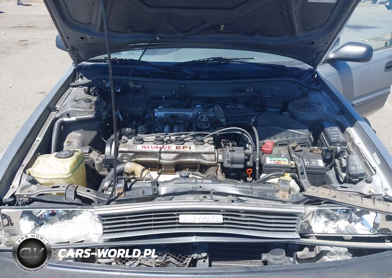1990 Toyota Corolla Dlx VIN:1NXAE94A6LZ160938 - 10
