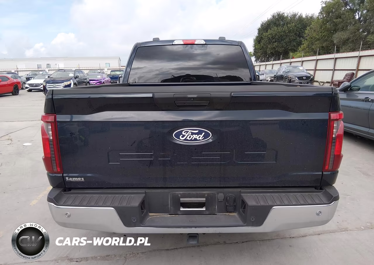 2025 Ford F-150 Xl VIN:1FTMF1L52SKE74116 - 16