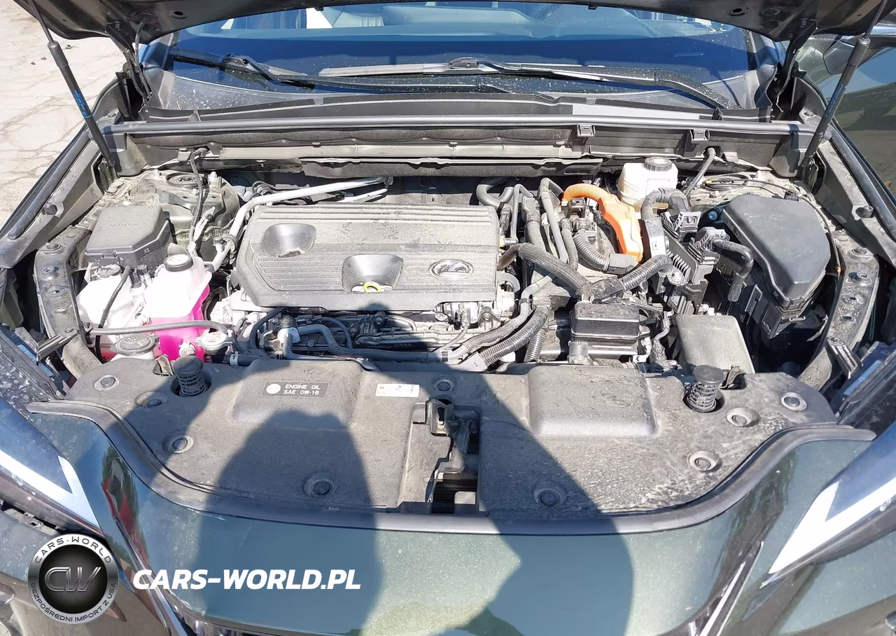 2022 Lexus Nx 350H Premium VIN:JTJGKCEZ1N2008859 - 10