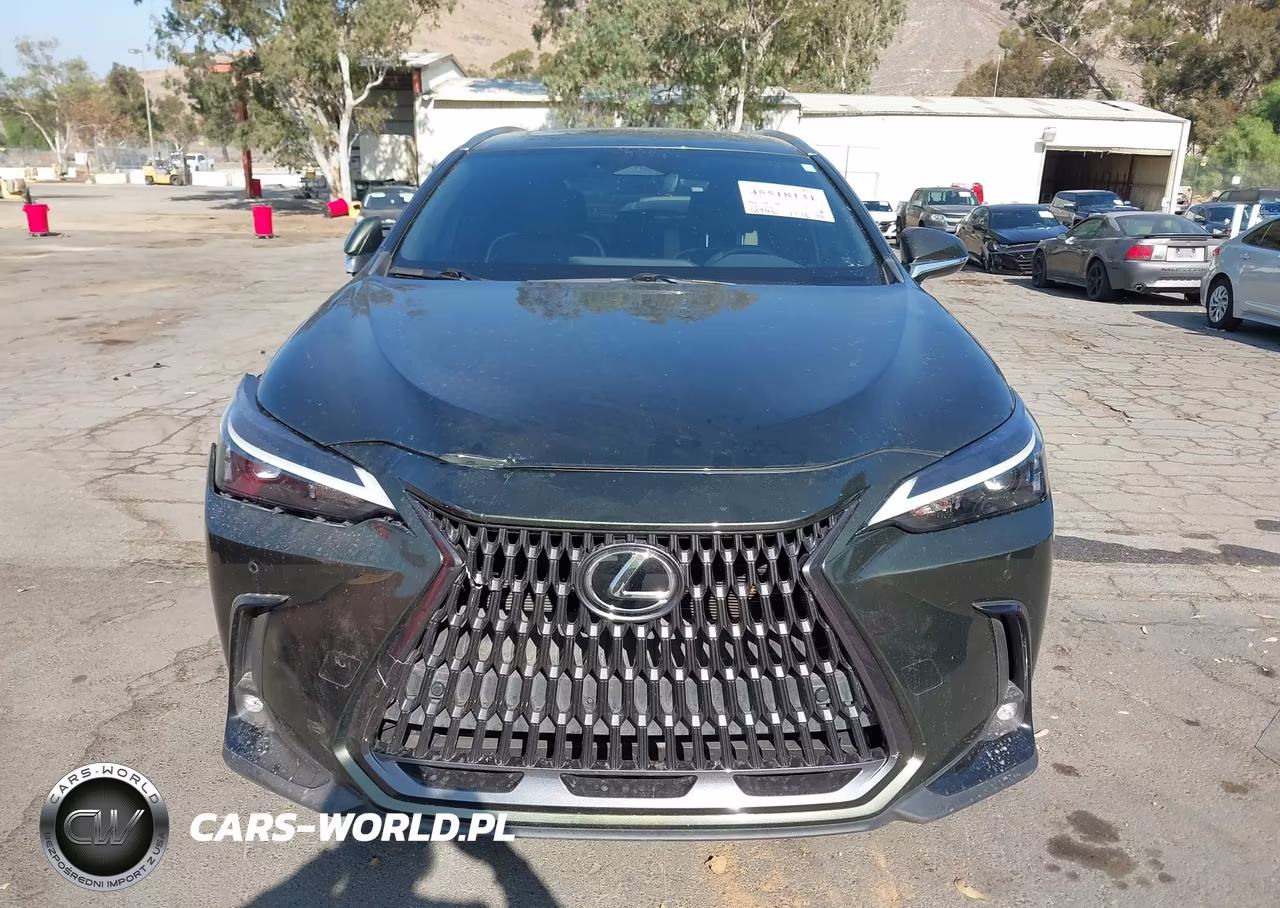 2022 Lexus Nx 350H Premium VIN:JTJGKCEZ1N2008859 - 13