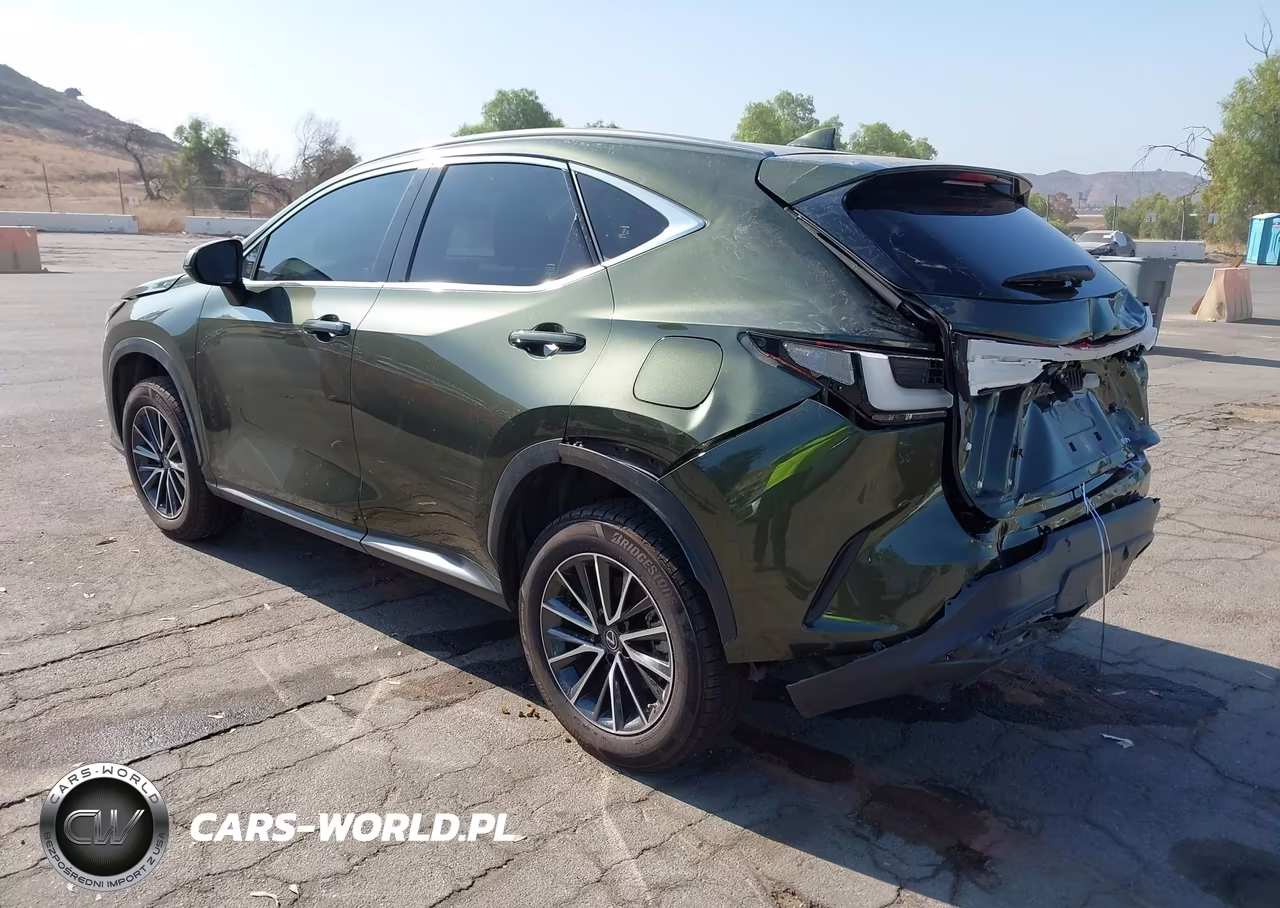 2022 Lexus Nx 350H Premium VIN:JTJGKCEZ1N2008859 - 3