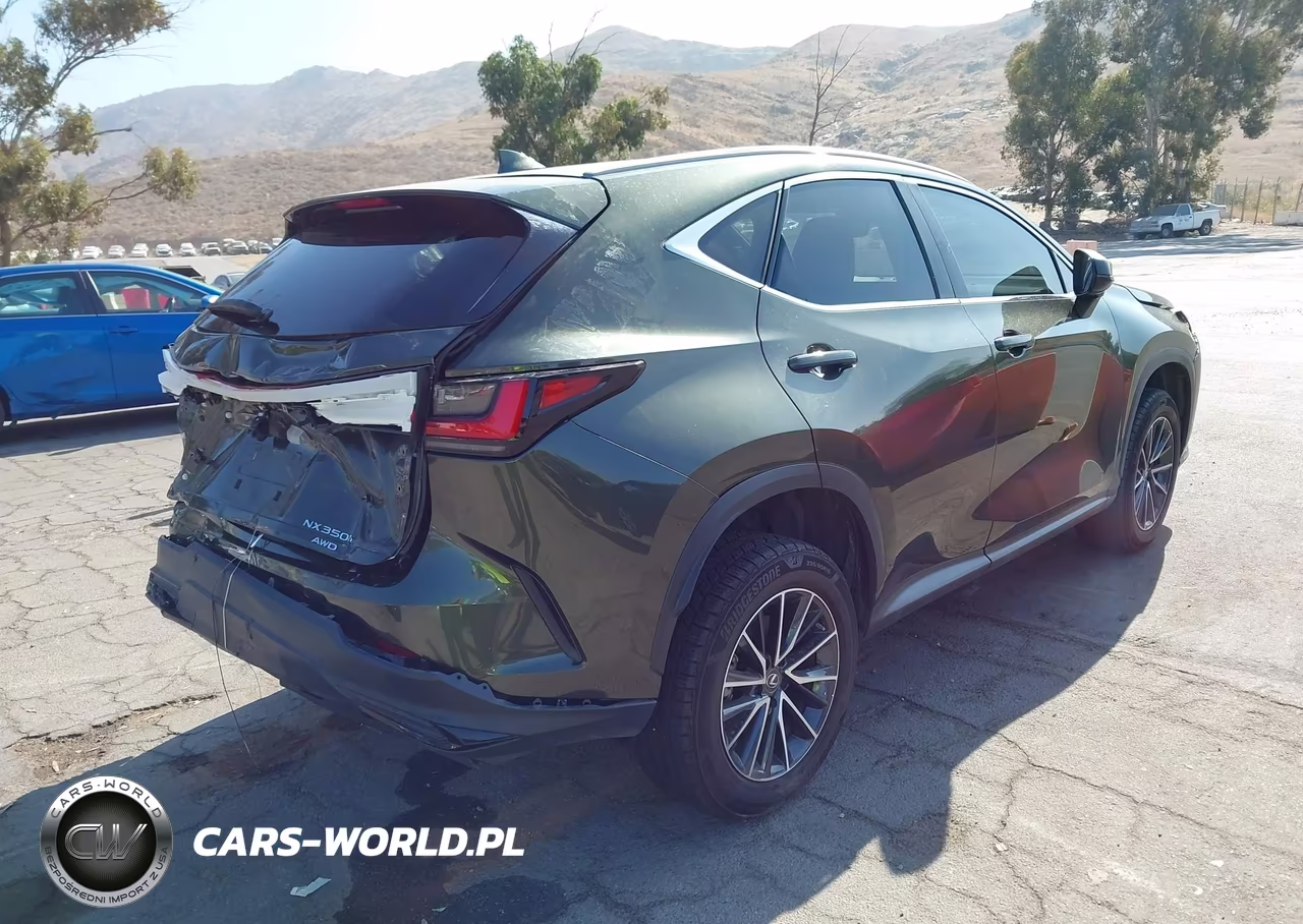 2022 Lexus Nx 350H Premium VIN:JTJGKCEZ1N2008859 - 4