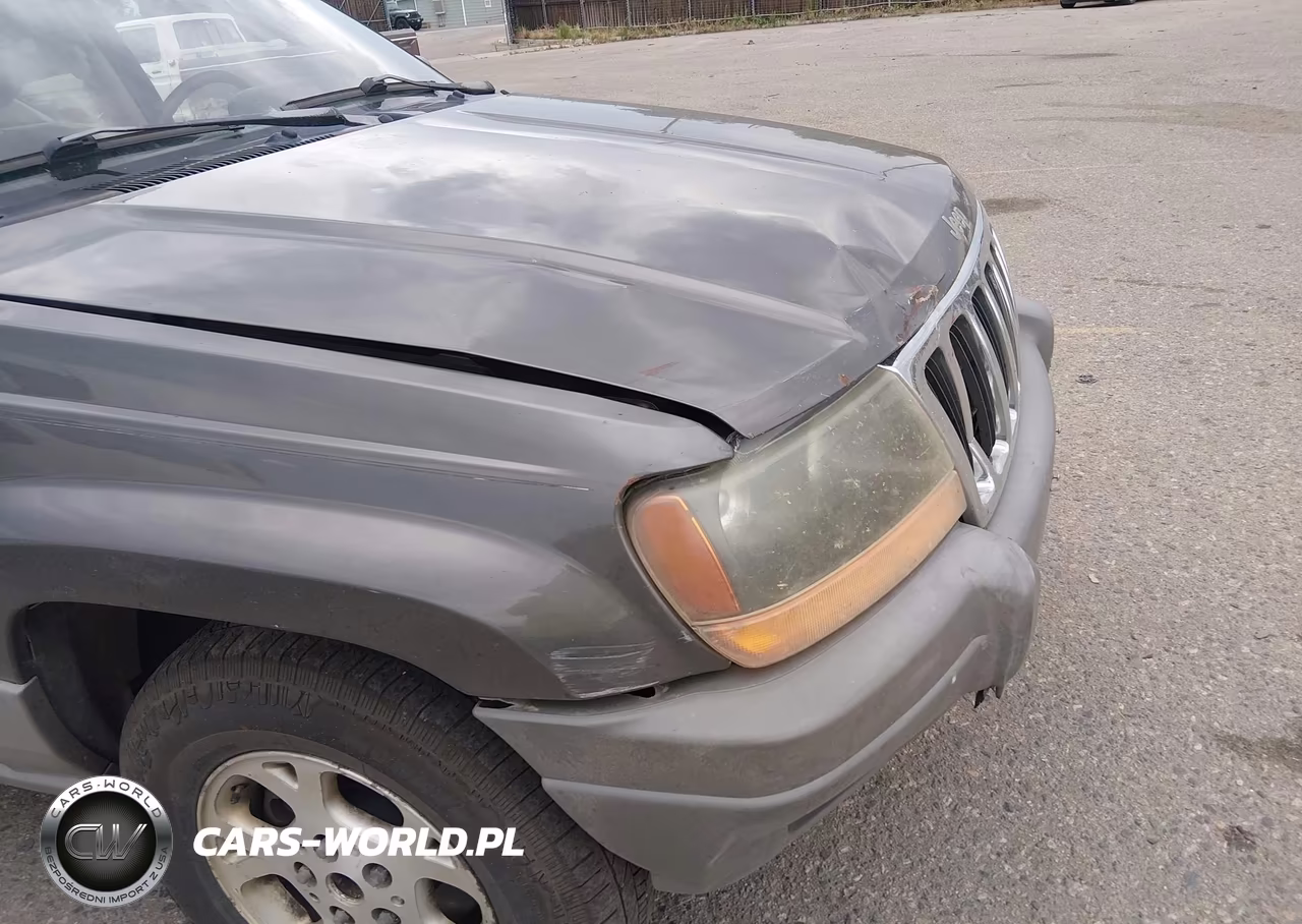 2002 Jeep Grand Cherokee Laredo VIN:1J4GW48S22C285015 - 16