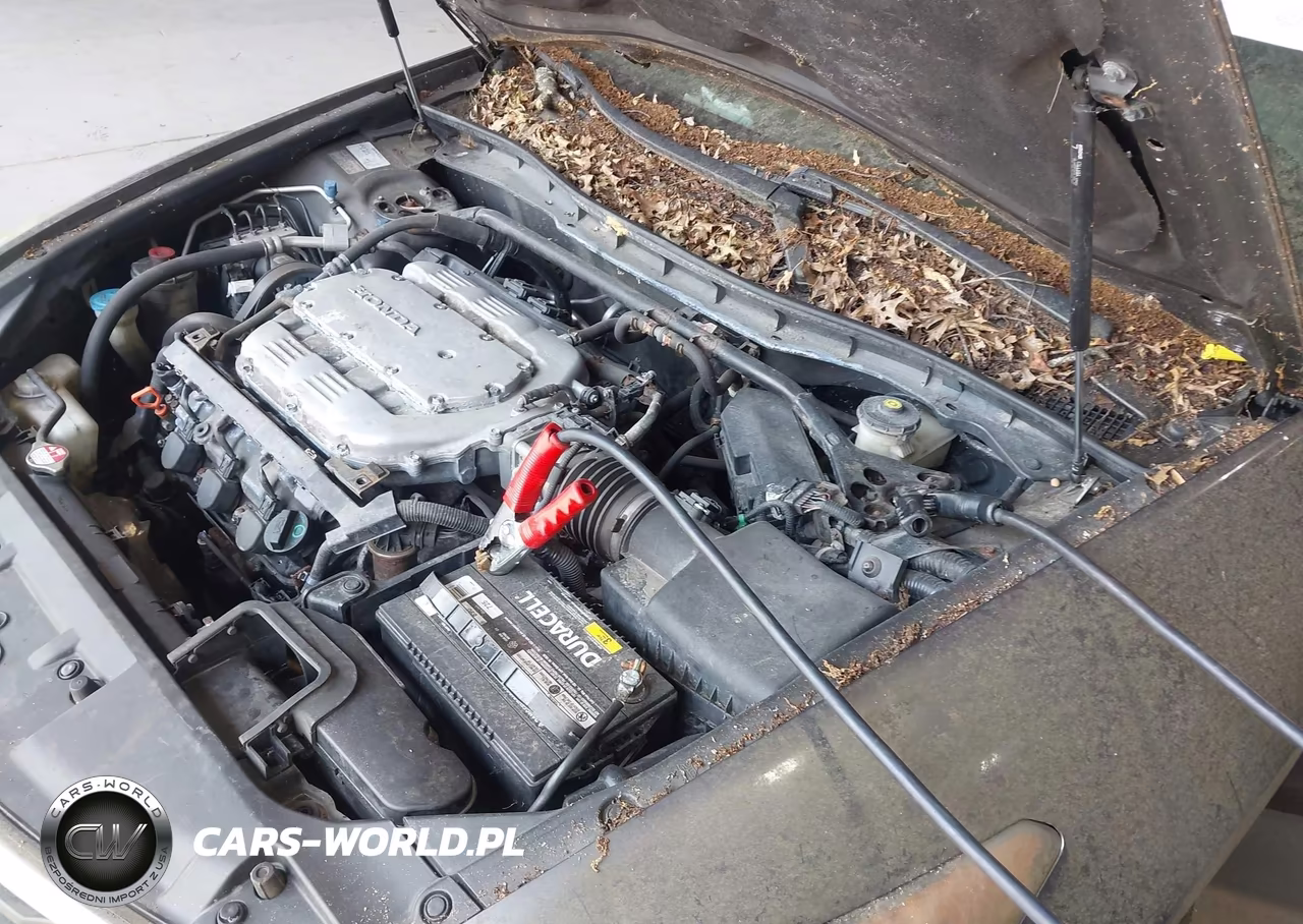 2010 Honda Accord 3.5 Ex-L VIN:1HGCP3F87AA027247 - 6