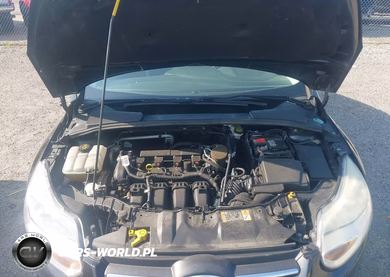 2014 Ford Focus Se VIN:1FADP3F28EL396715 - 10