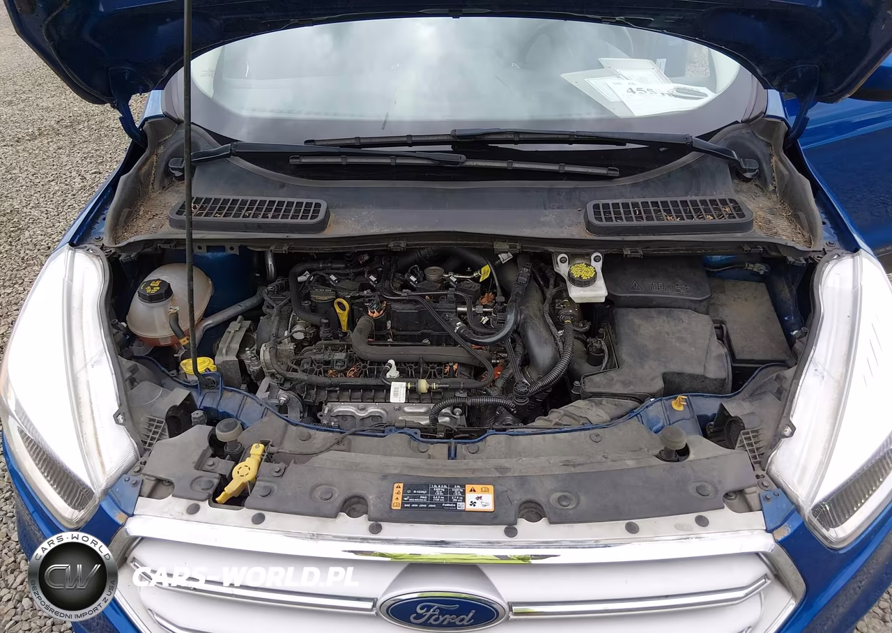 2019 Ford Escape Se VIN:1FMCU9GD2KUA72730 - 10