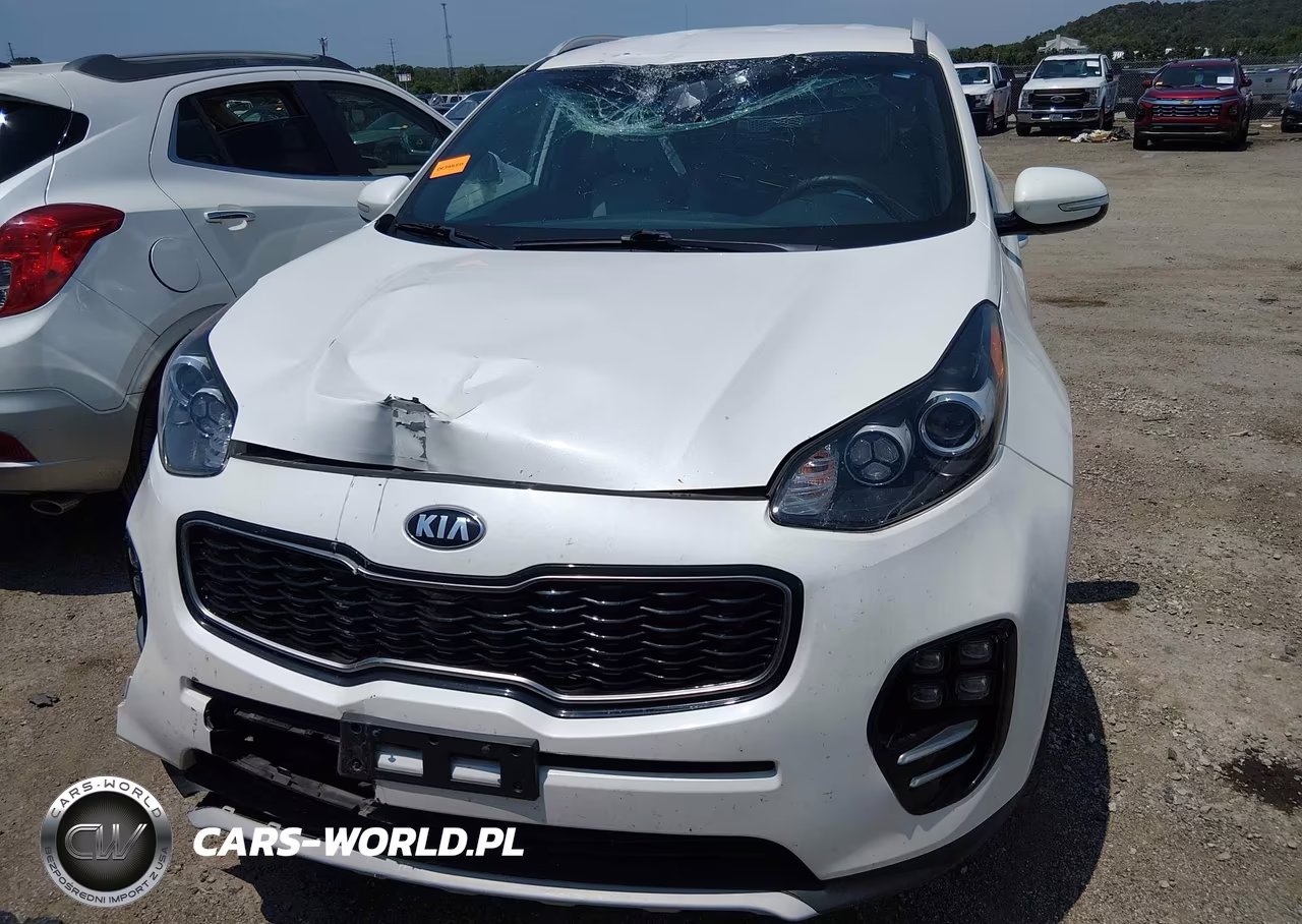 2019 Kia Sportage Ex VIN:KNDPN3ACXK7584816 - 12