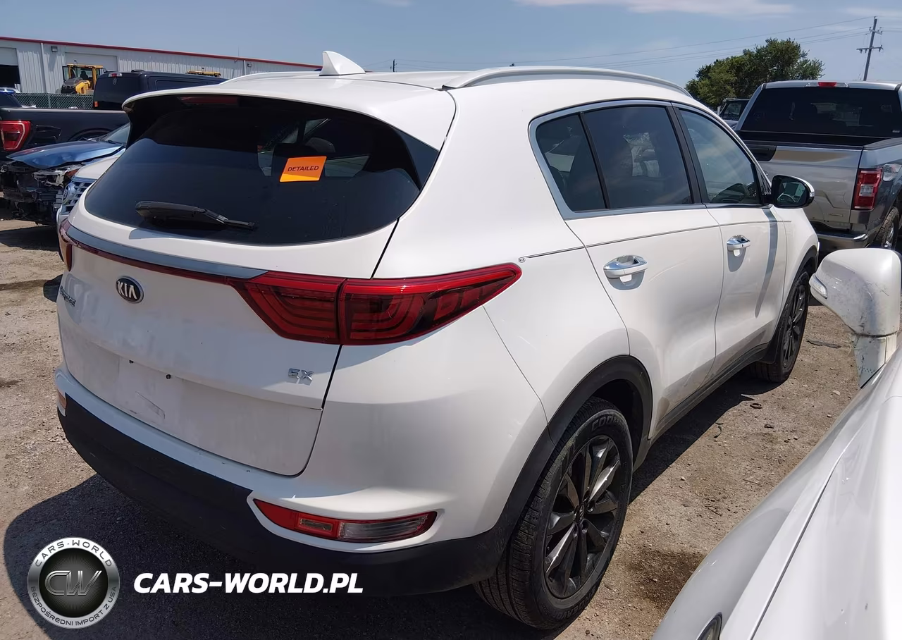 2019 Kia Sportage Ex VIN:KNDPN3ACXK7584816 - 4