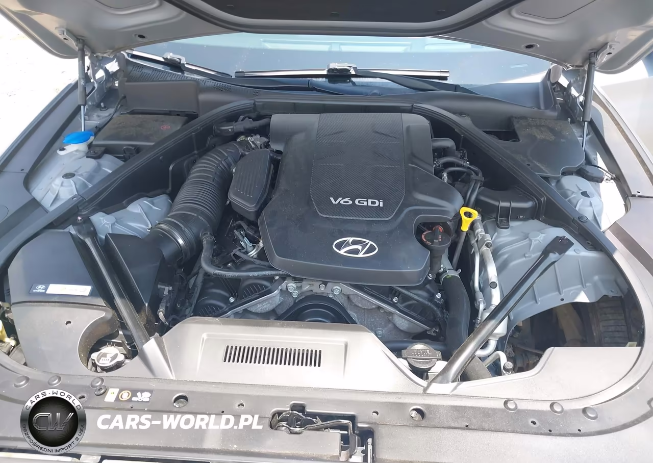 2015 Hyundai Genesis 3.8 VIN:KMHGN4JE2FU075510 - 10
