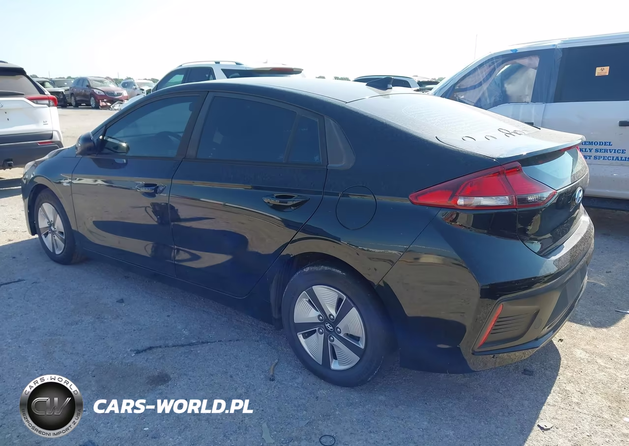 2019 Hyundai Ioniq Hybrid Blue VIN:KMHC65LC1KU163505 - 3