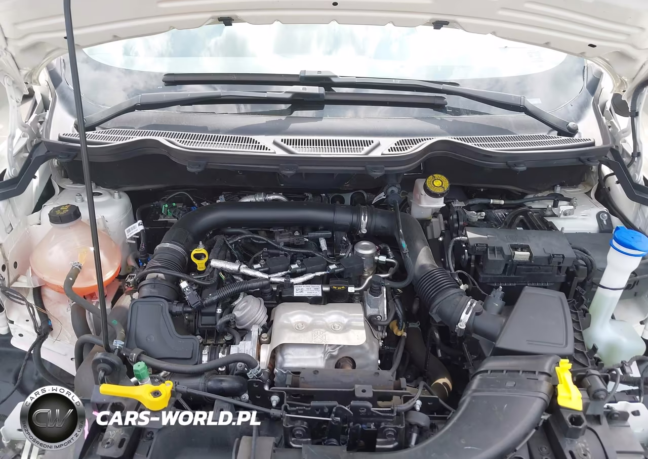 2018 Ford Ecosport Se VIN:MAJ3P1TE8JC177178 - 10