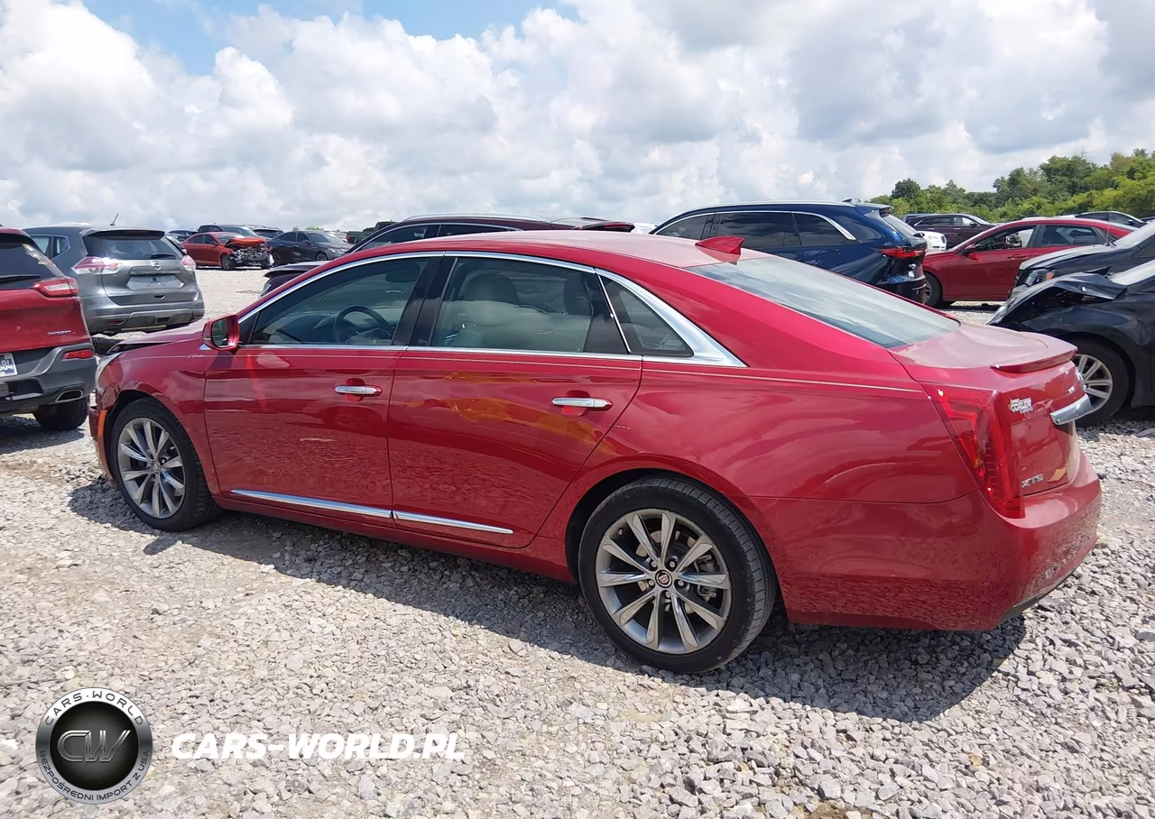 2015 Cadillac Xts Standard VIN:2G61L5S37F9125854 - 15