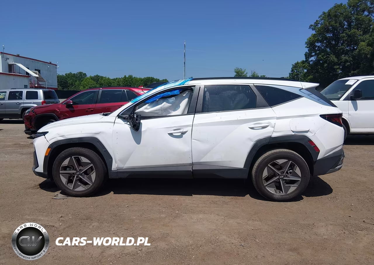 2025 Hyundai Tucson Sel VIN:5NMJBCDE3SH584113 - 13