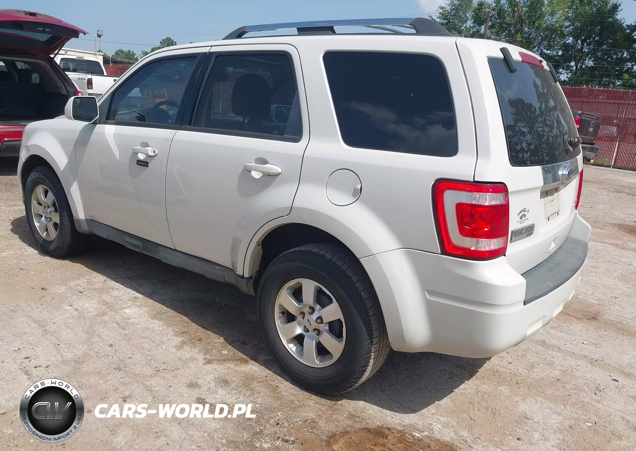 2010 Ford Escape Limited VIN:1FMCU0EG3AKA30554 - 3