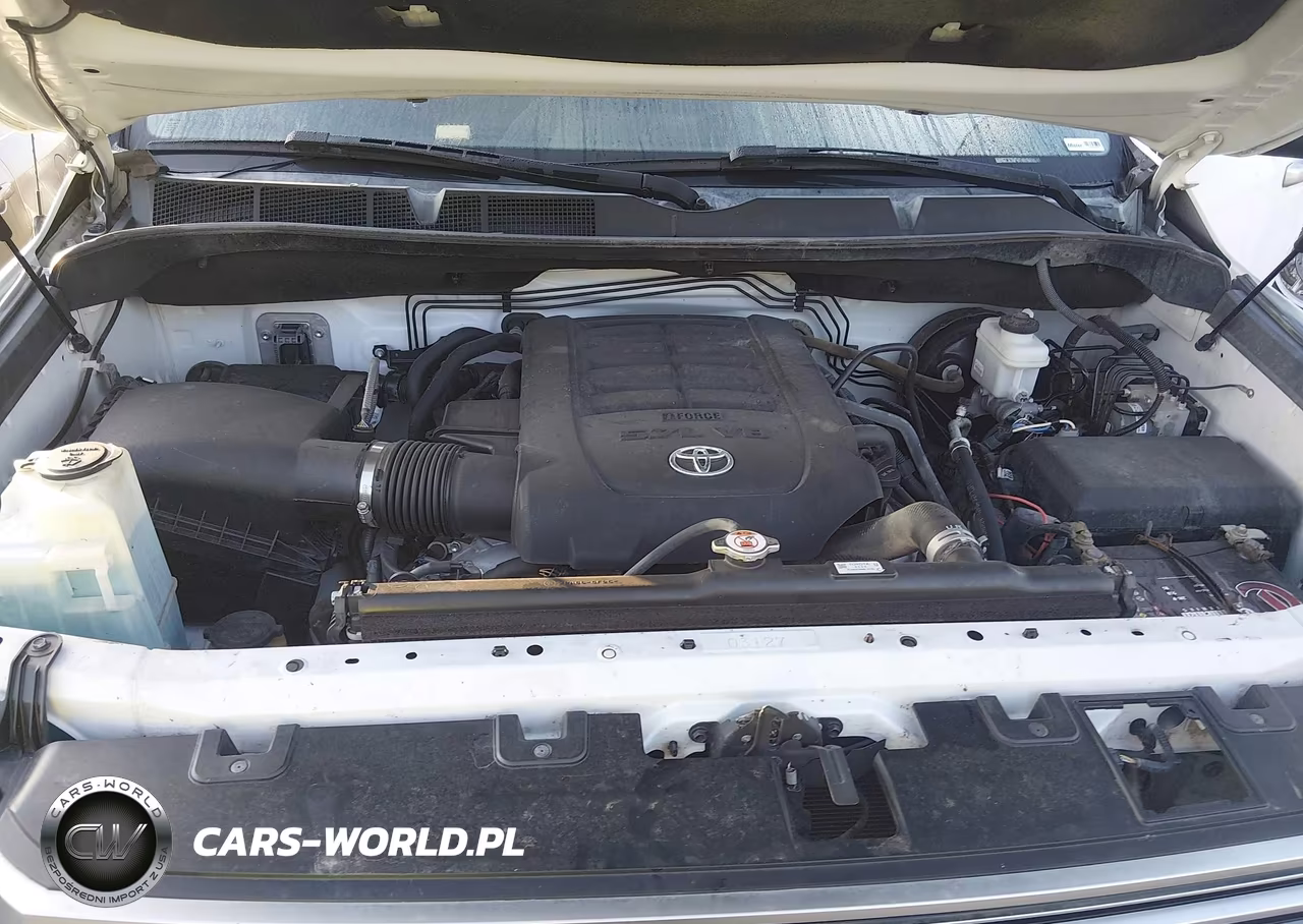 2019 Toyota Tundra Limited 5.7L V8 VIN:5TFHY5F16KX819825 - 10