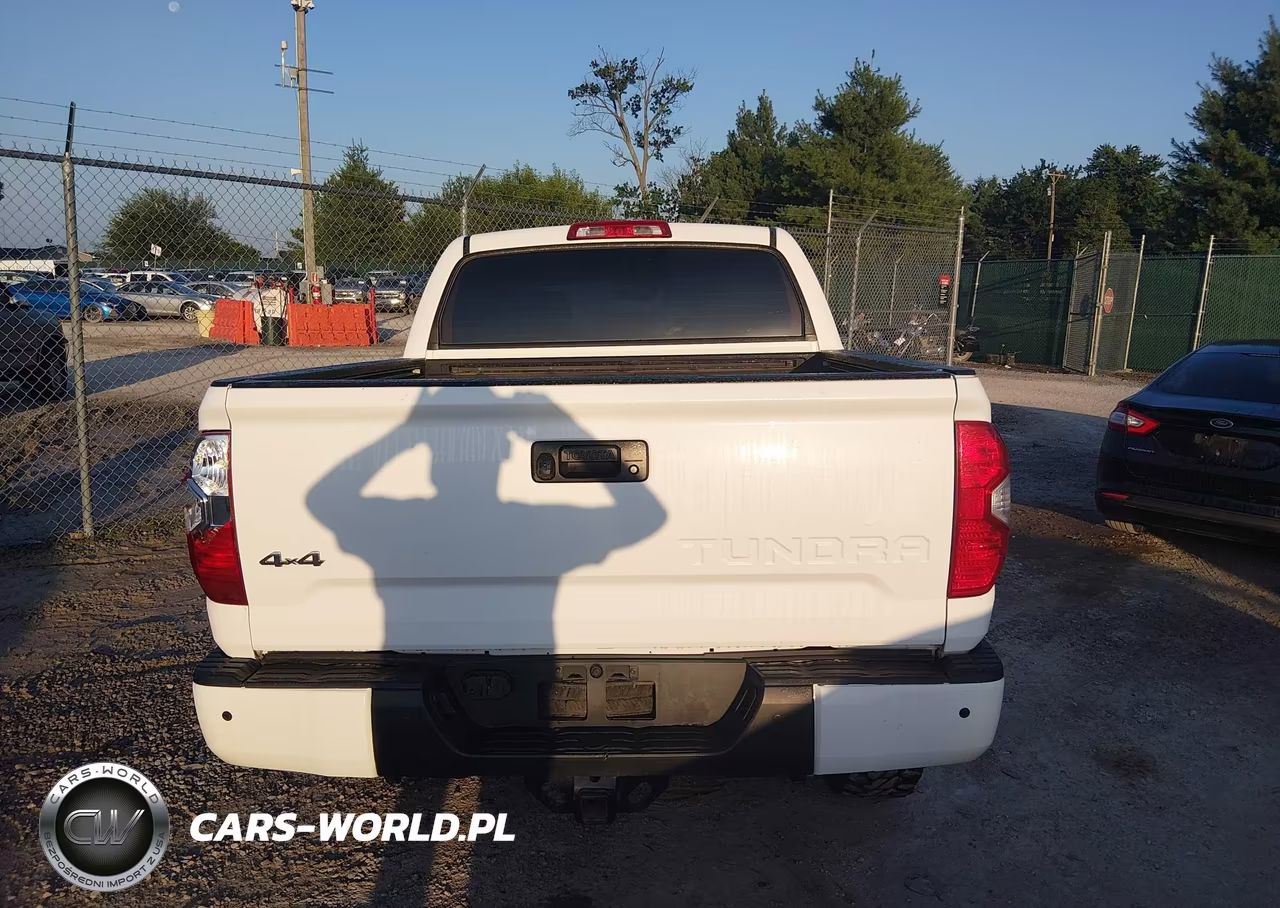 2019 Toyota Tundra Limited 5.7L V8 VIN:5TFHY5F16KX819825 - 17