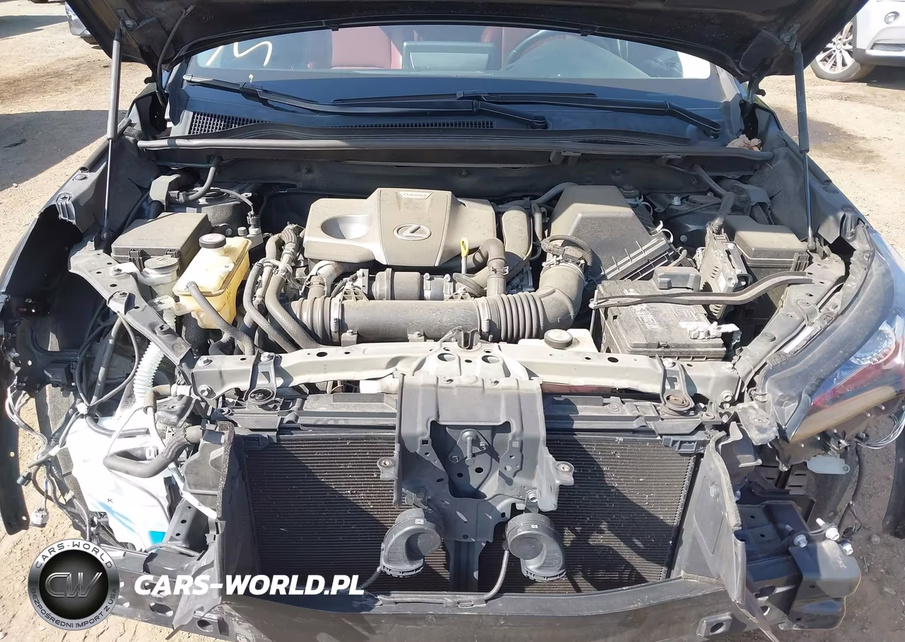 2018 Lexus Nx 300 F Sport VIN:JTJBARBZ0J2171212 - 10