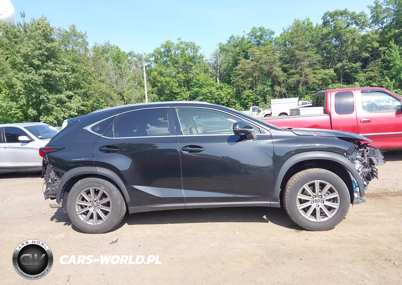 2018 Lexus Nx 300 F Sport VIN:JTJBARBZ0J2171212 - 13