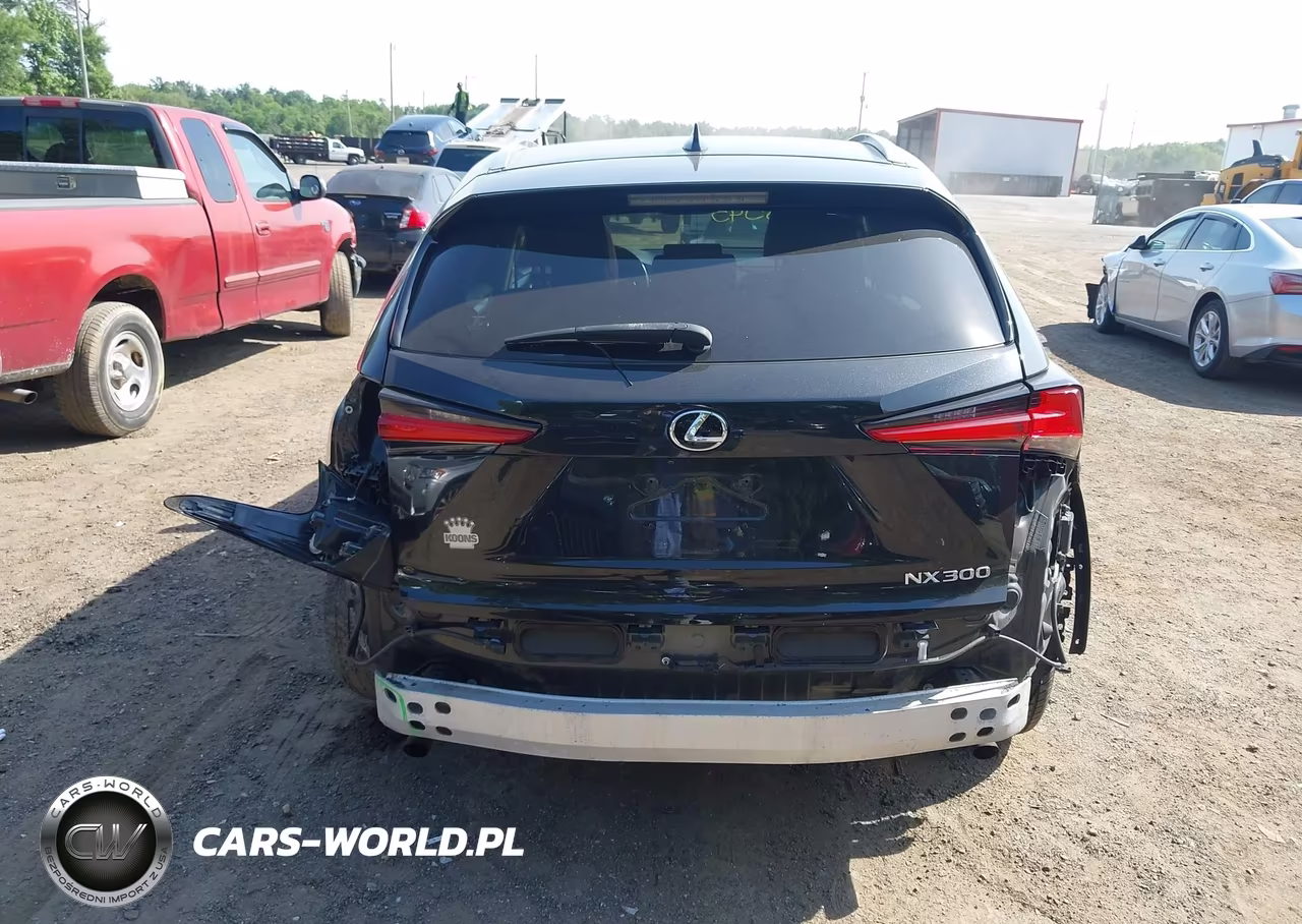 2018 Lexus Nx 300 F Sport VIN:JTJBARBZ0J2171212 - 16
