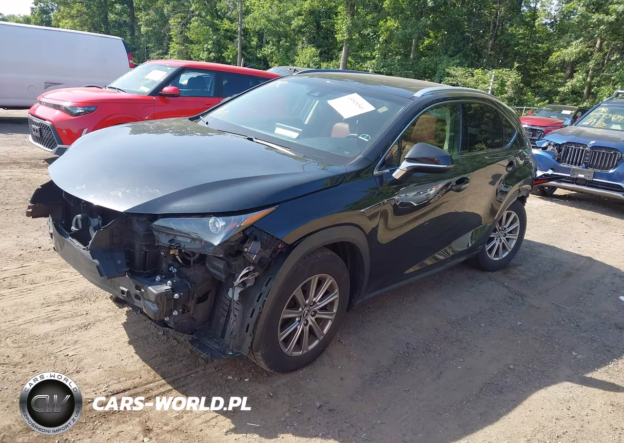 2018 Lexus Nx 300 F Sport VIN:JTJBARBZ0J2171212 - 2