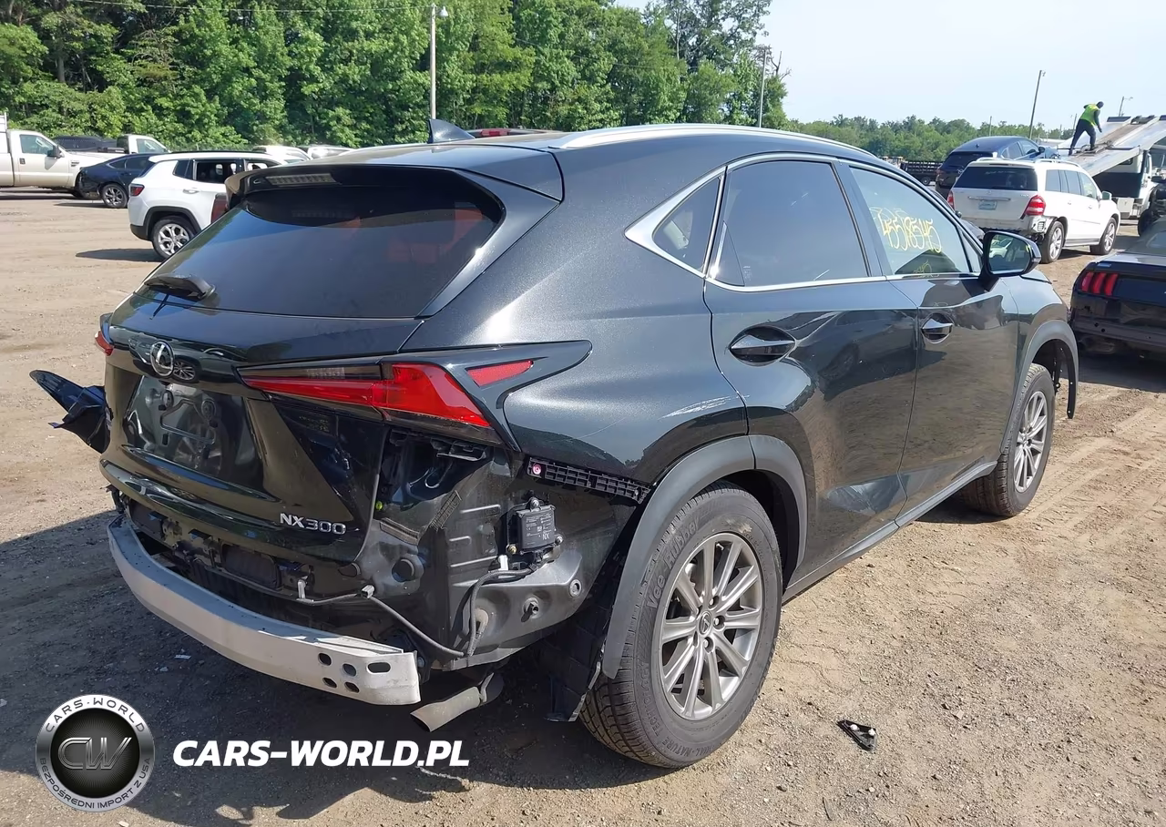 2018 Lexus Nx 300 F Sport VIN:JTJBARBZ0J2171212 - 4