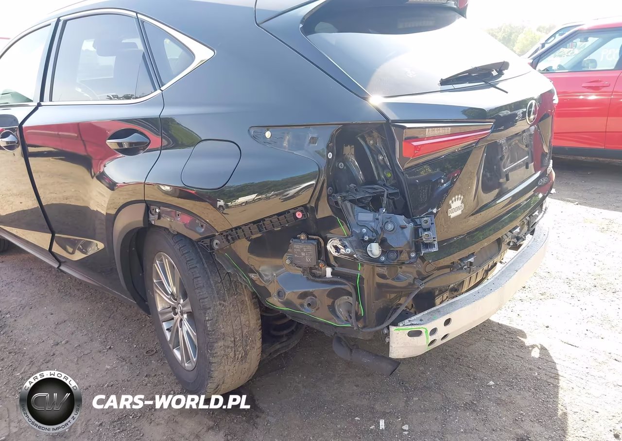 2018 Lexus Nx 300 F Sport VIN:JTJBARBZ0J2171212 - 6