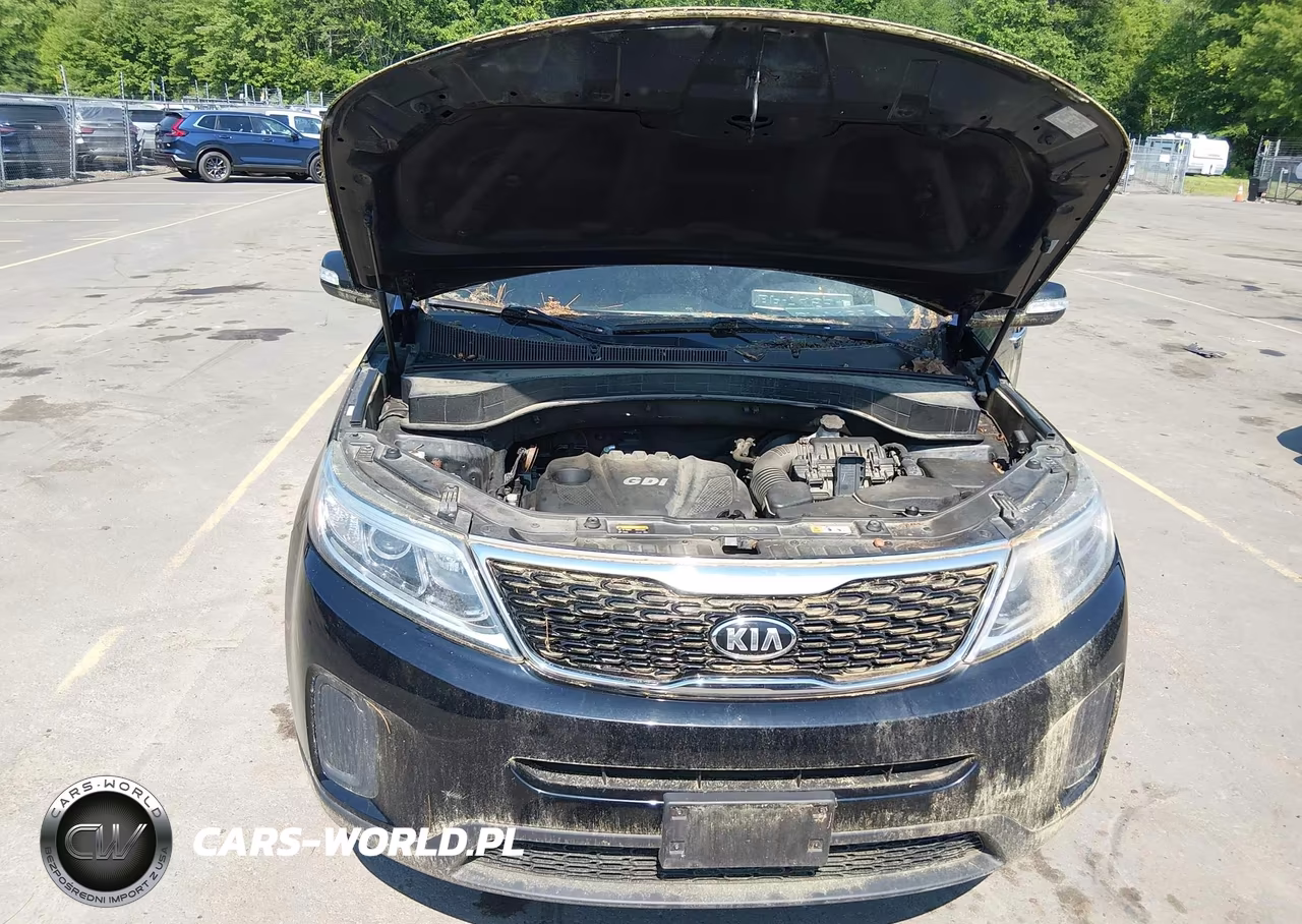 2014 Kia Sorento Lx VIN:5XYKTCA68EG479872 - 10