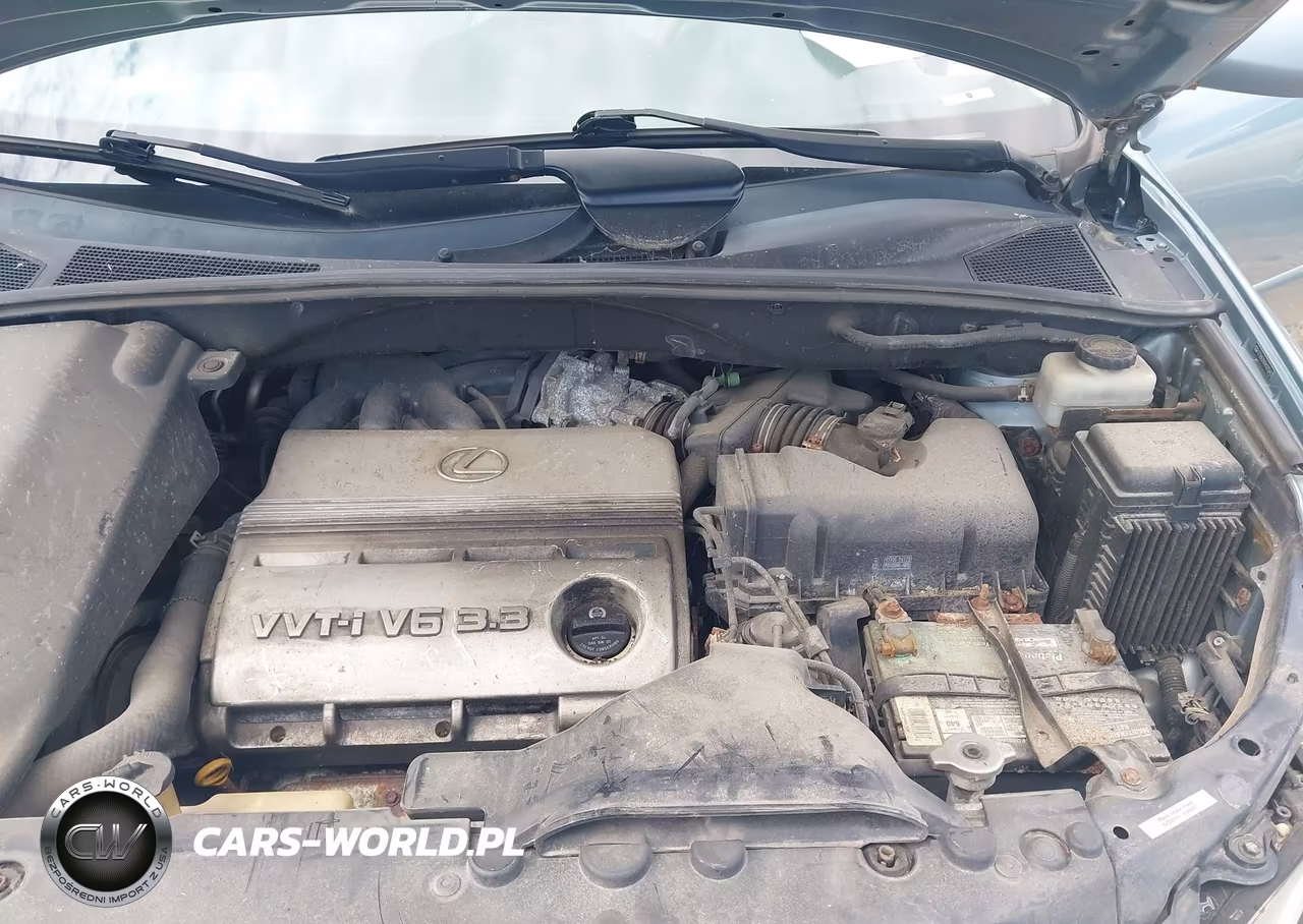 2004 Lexus Rx 330 VIN:2T2HA31U04C025443 - 10
