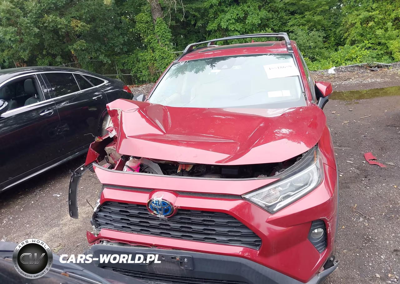 2019 Toyota Rav4 Hybrid Xle VIN:2T3RWRFV3KW036146 - 12