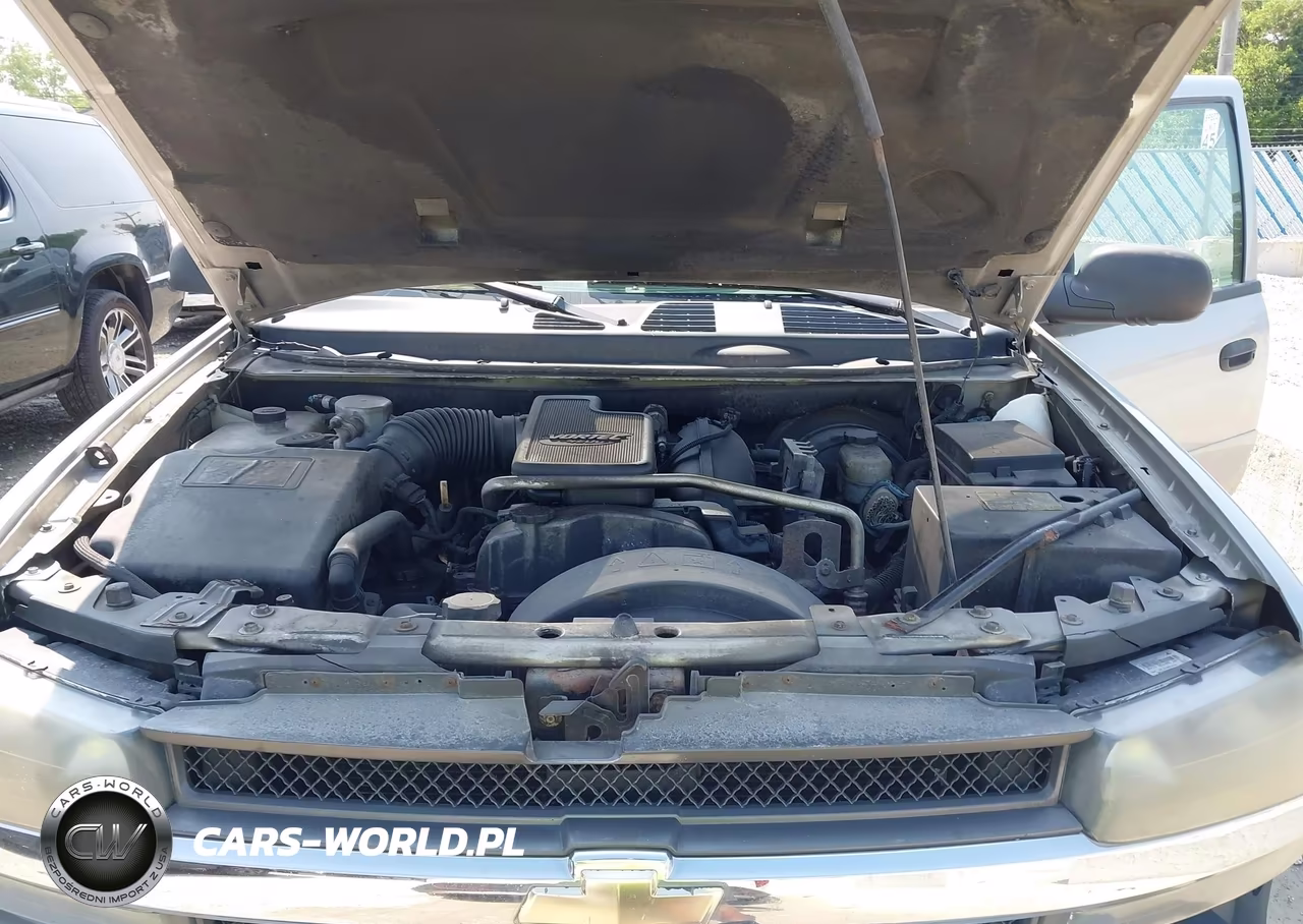 2008 Chevrolet Trailblazer Fleet VIN:1GNDS13S382250841 - 10