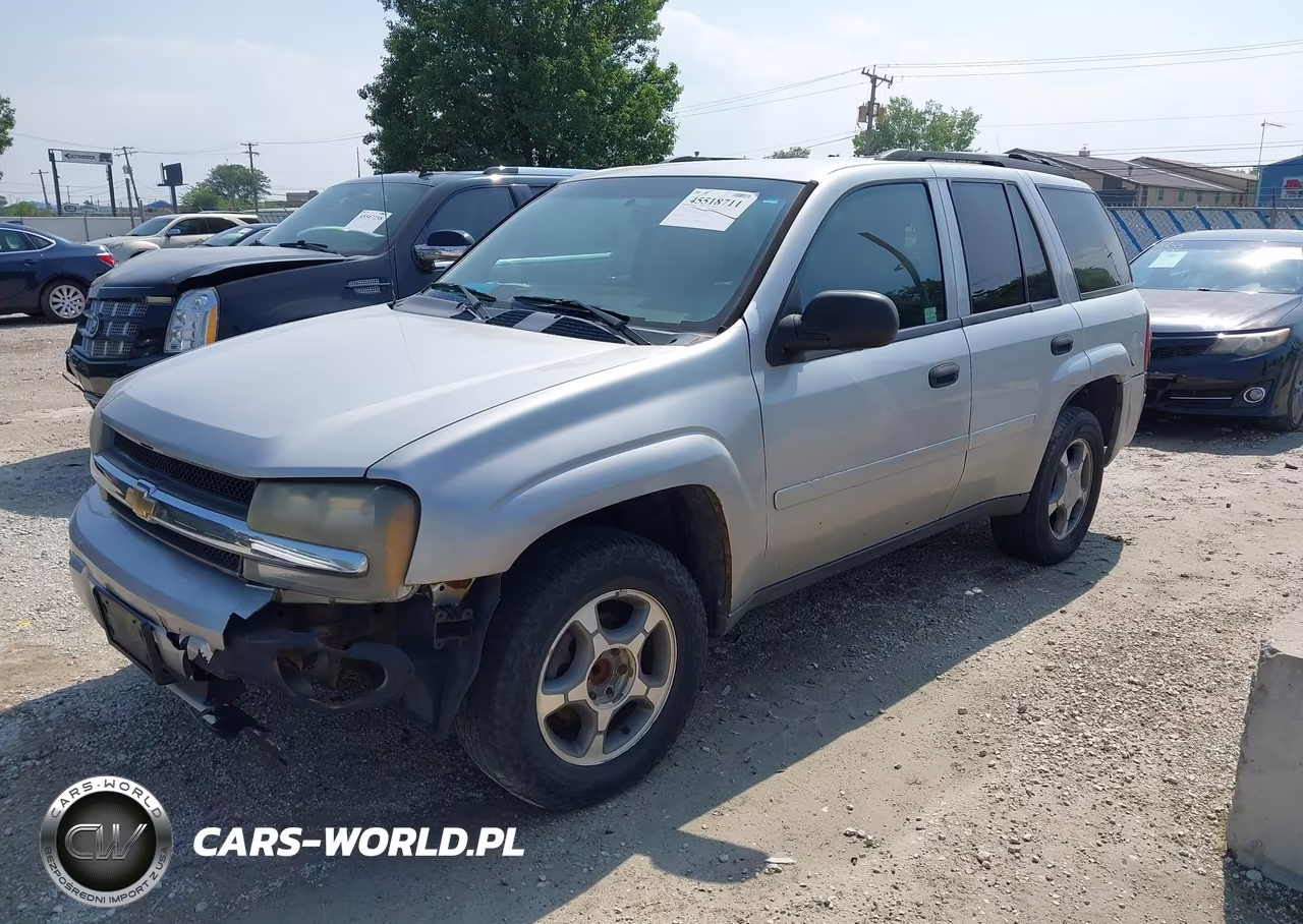 2008 Chevrolet Trailblazer Fleet VIN:1GNDS13S382250841 - 2
