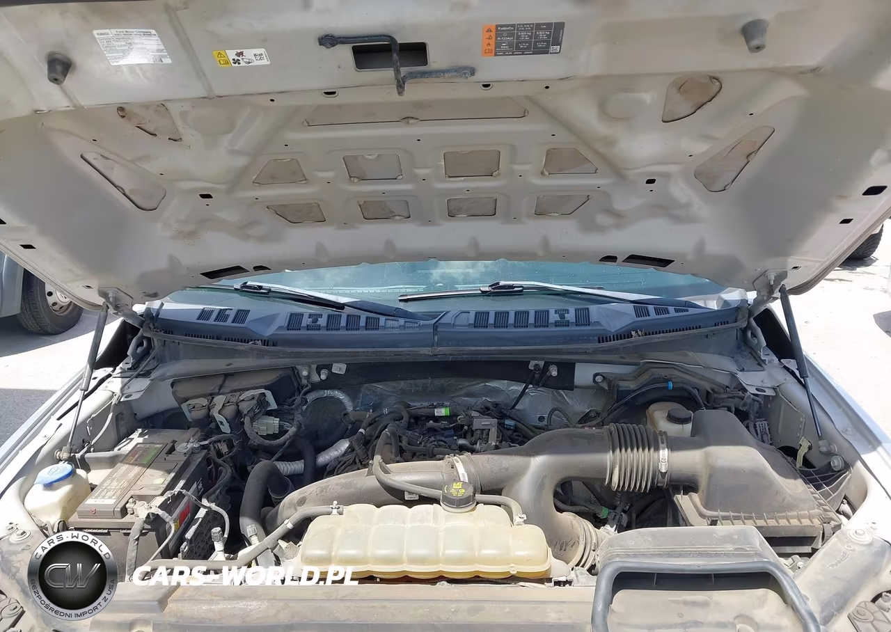 2019 Ford F-150 Xl VIN:1FTEW1EP2KKD70681 - 10
