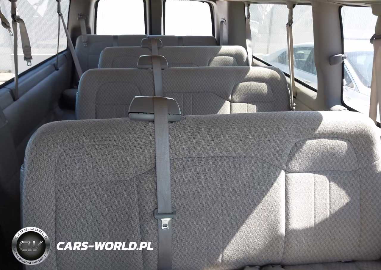 2009 Chevrolet Express Passenger Ls VIN:1GAHG39K091167673 - 17
