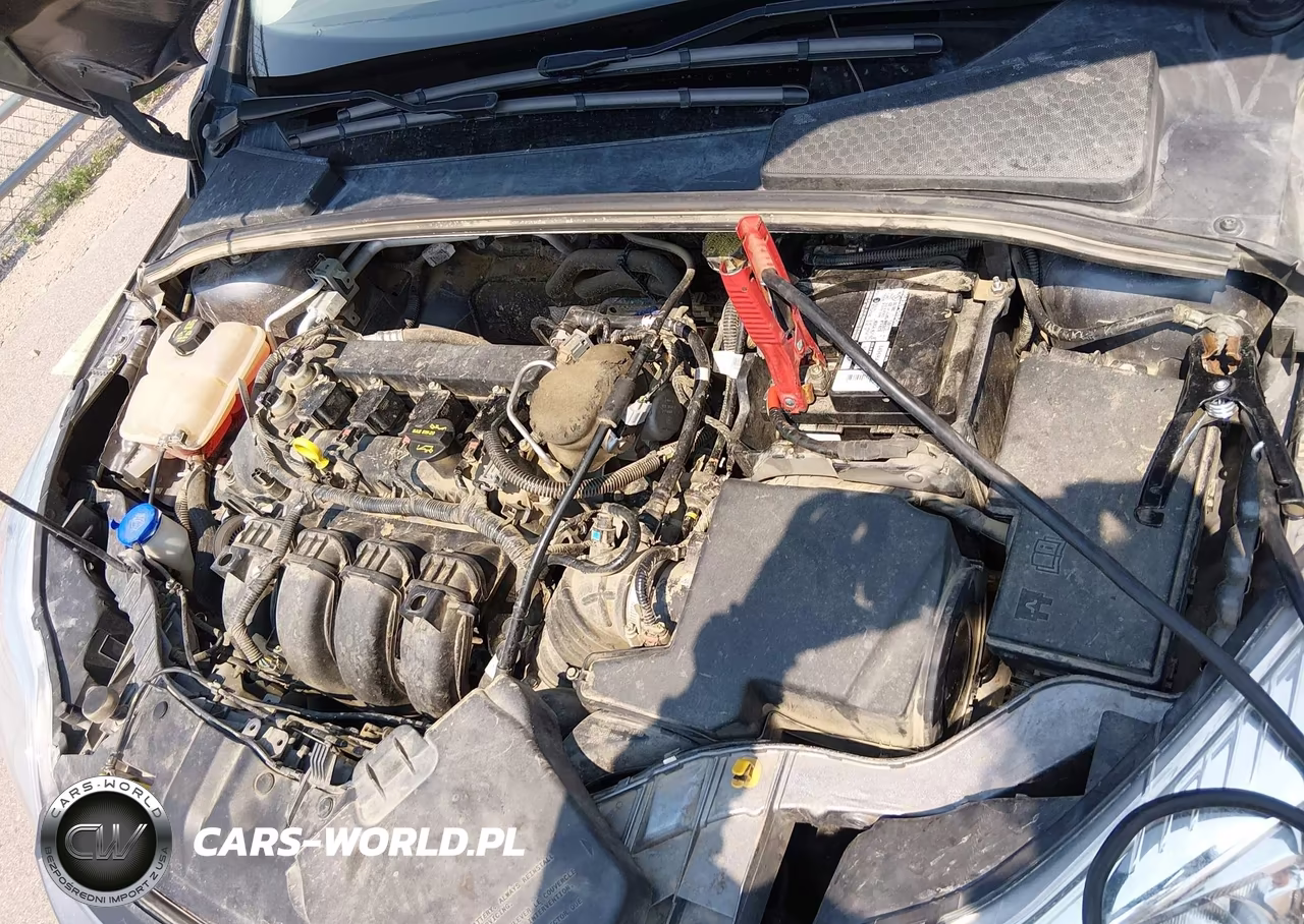2014 Ford Focus Se VIN:1FADP3K29EL373773 - 9