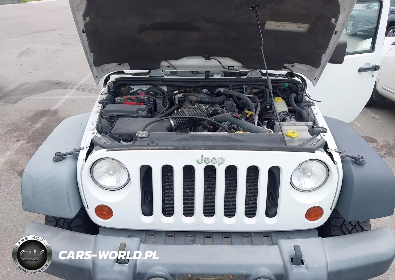 2011 Jeep Wrangler Rubicon VIN:1J4BA6D17BL546012 - 10