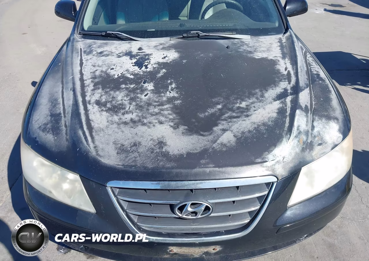 2009 Hyundai Sonata Gls VIN:5NPET46C49H447887 - 6