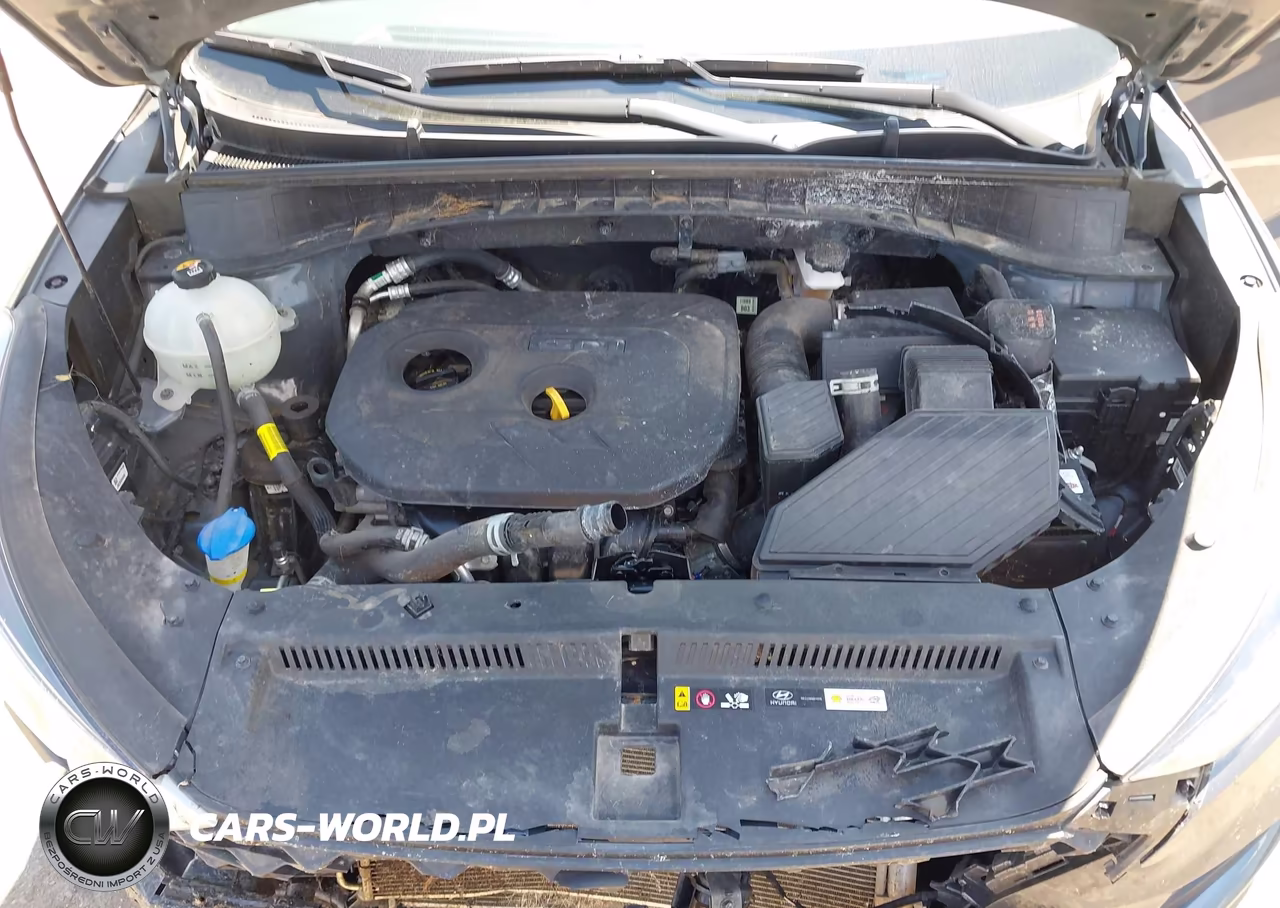 2019 Hyundai Tucson Value VIN:KM8J3CA44KU035937 - 10