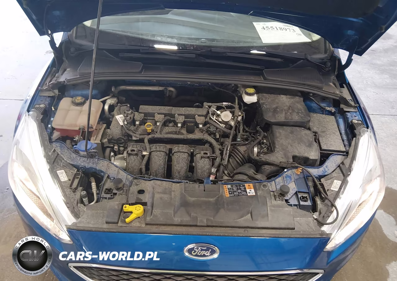 2018 Ford Focus Se VIN:1FADP3F29JL329101 - 10
