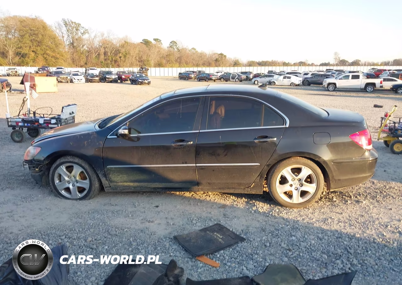 2005 Acura Rl 3.5 VIN:JH4KB165X5C001138 - 15