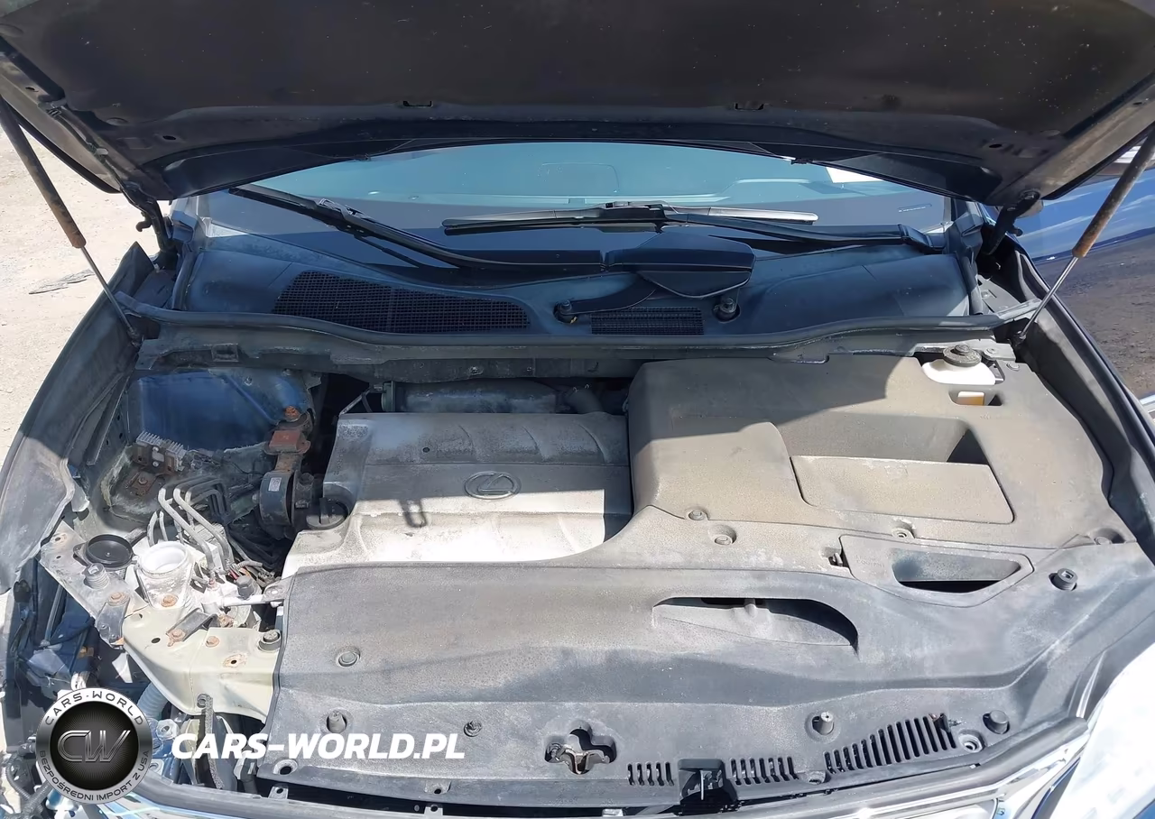2015 Lexus Rx 350 VIN:2T2BK1BA3FC334063 - 10
