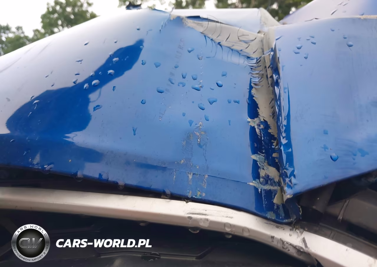 2020 Ford Ecosport Se VIN:MAJ6S3GL7LC354936 - 10