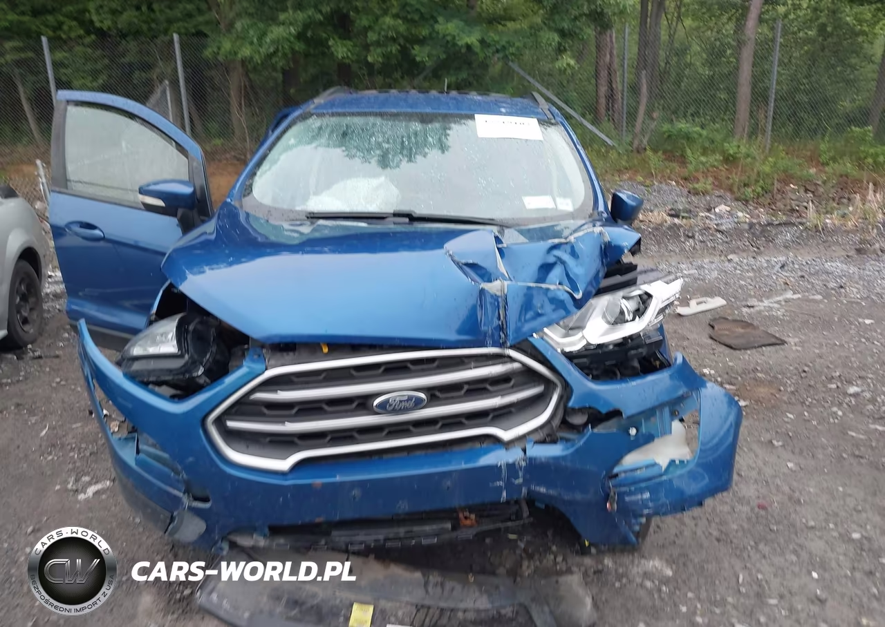 2020 Ford Ecosport Se VIN:MAJ6S3GL7LC354936 - 12