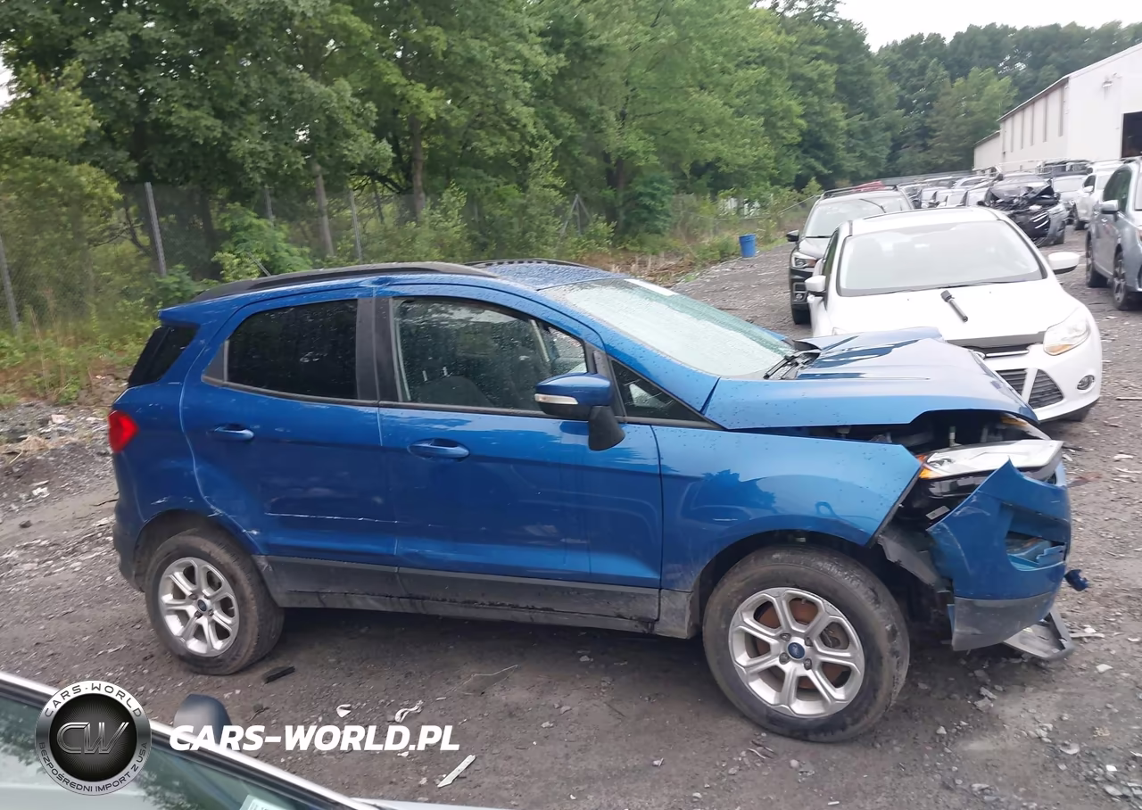 2020 Ford Ecosport Se VIN:MAJ6S3GL7LC354936 - 13