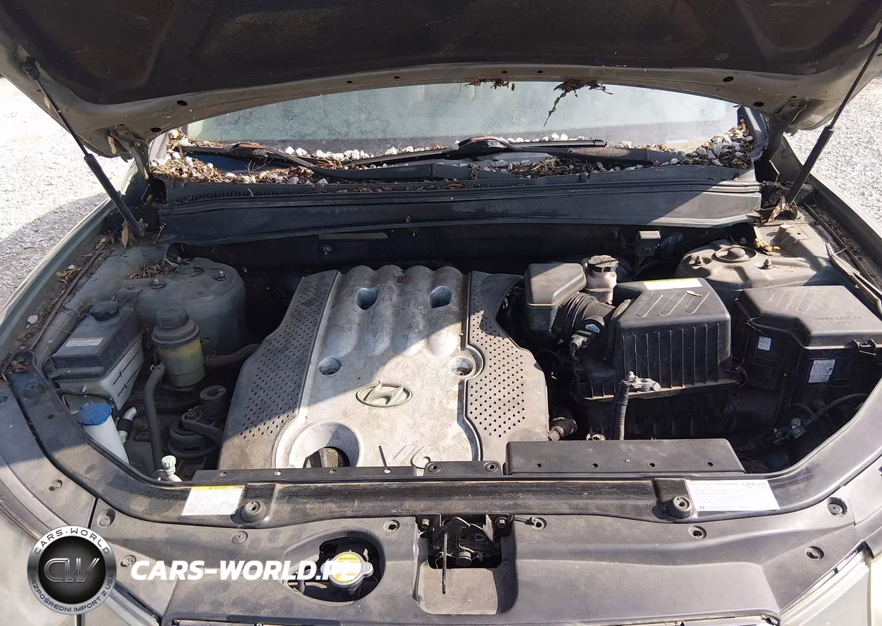 2007 Hyundai Santa Fe Gls VIN:5NMSG13DX7H037236 - 10