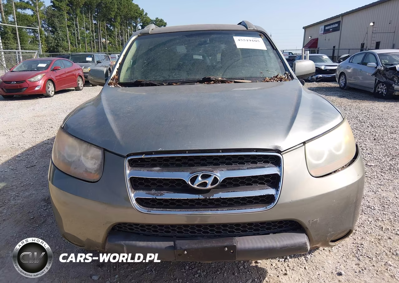 2007 Hyundai Santa Fe Gls VIN:5NMSG13DX7H037236 - 6