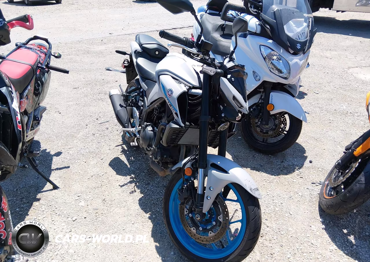 2025 Yamaha Mtn320 A