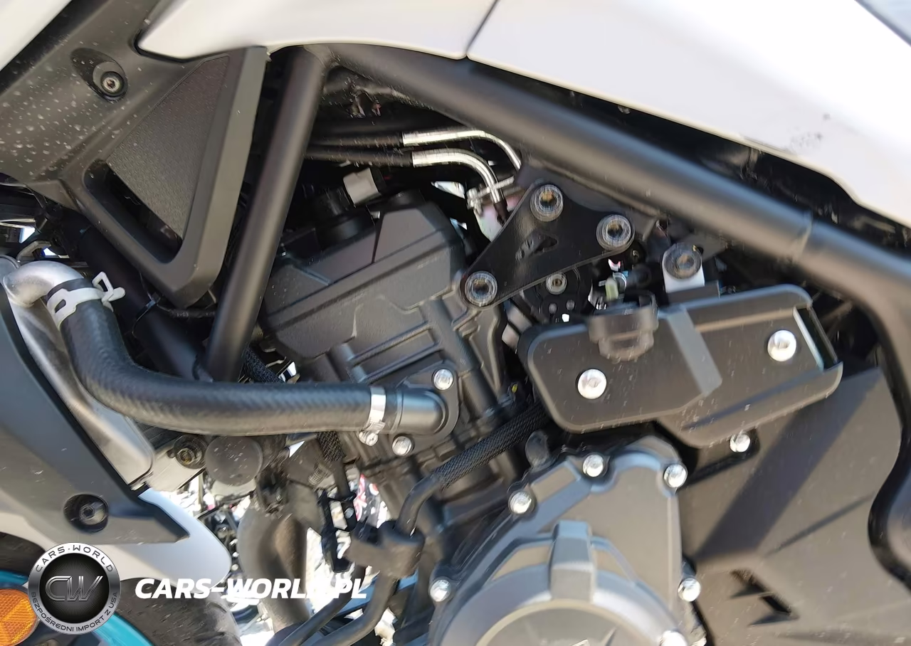 2025 Yamaha Mtn320 A VIN:MH3RH28E5SK002556 - 9