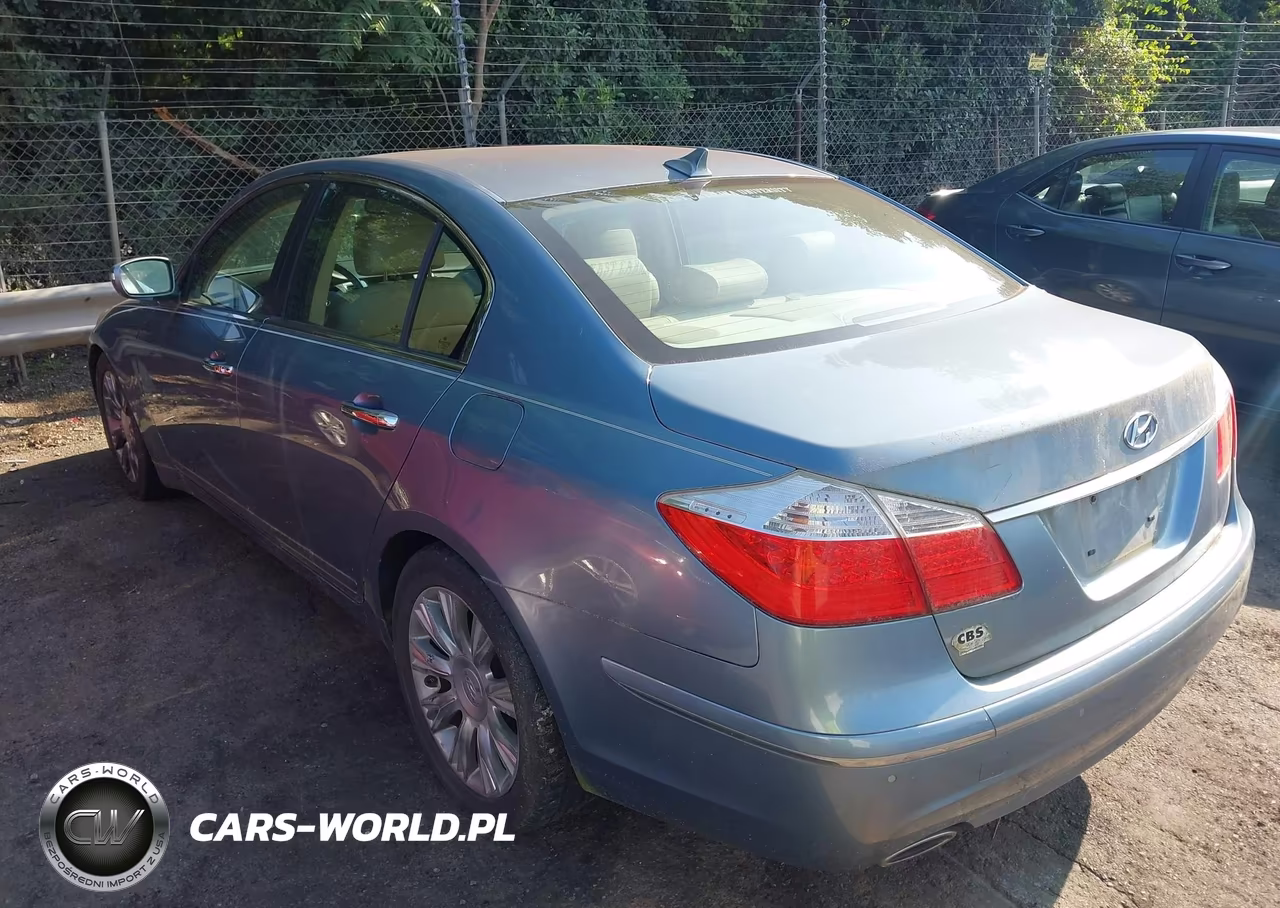 2009 Hyundai Genesis 3.8 VIN:KMHGC46E59U024456 - 3