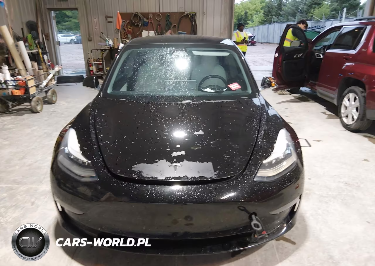 2019 Tesla Model 3 Long Range-Performance VIN:5YJ3E1EB6KF391478 - 12